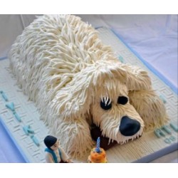 KÖPEK KÖPEK